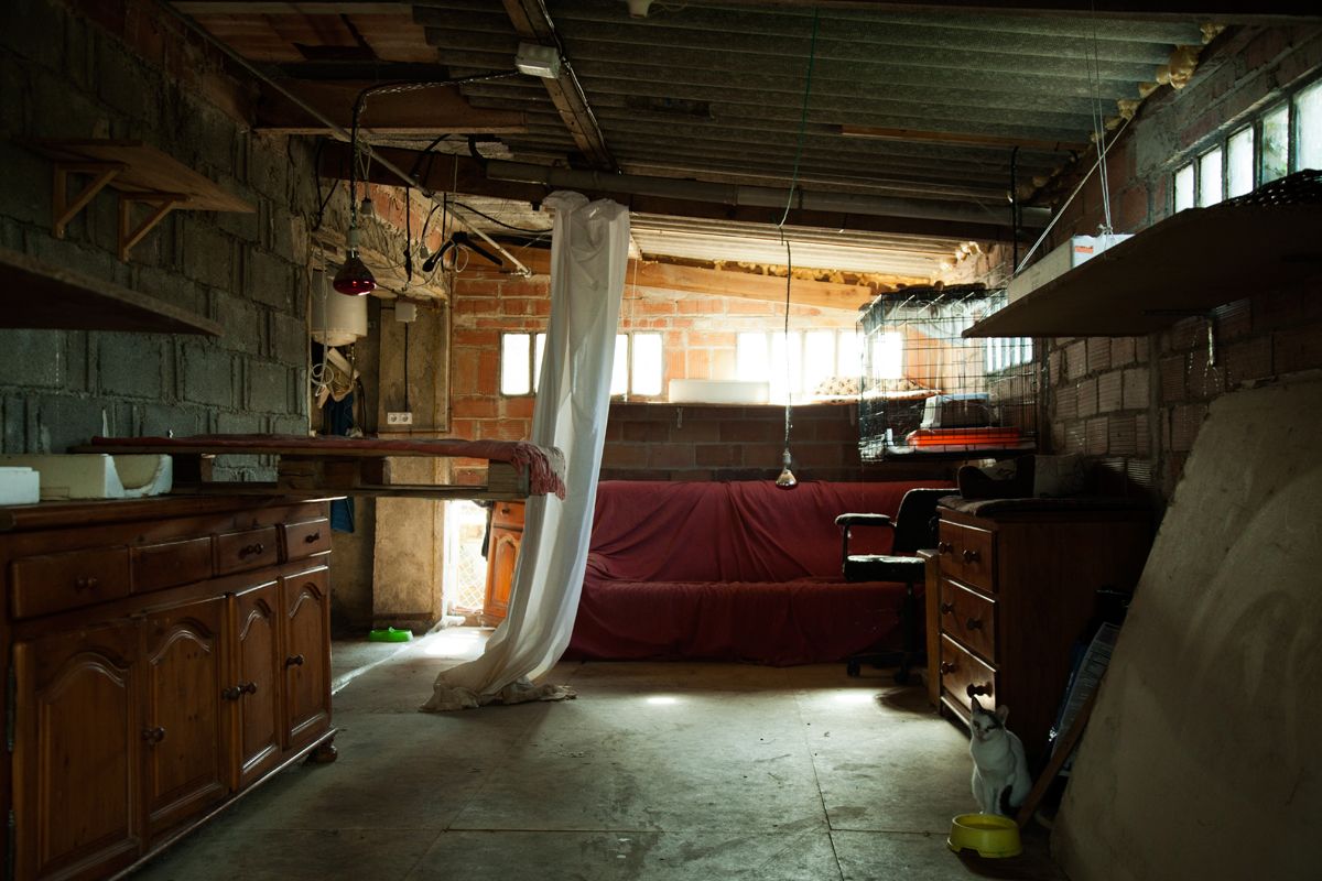Documentary photography